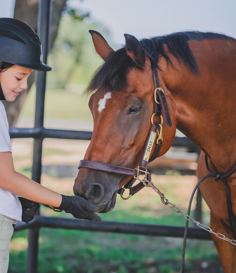 Rio Vista Farm Horse Camp