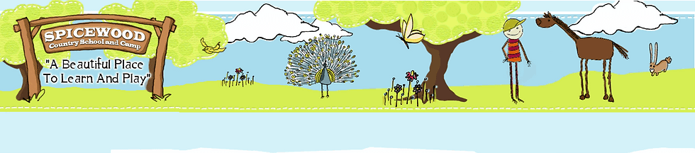 Spicewood Country School & Camp