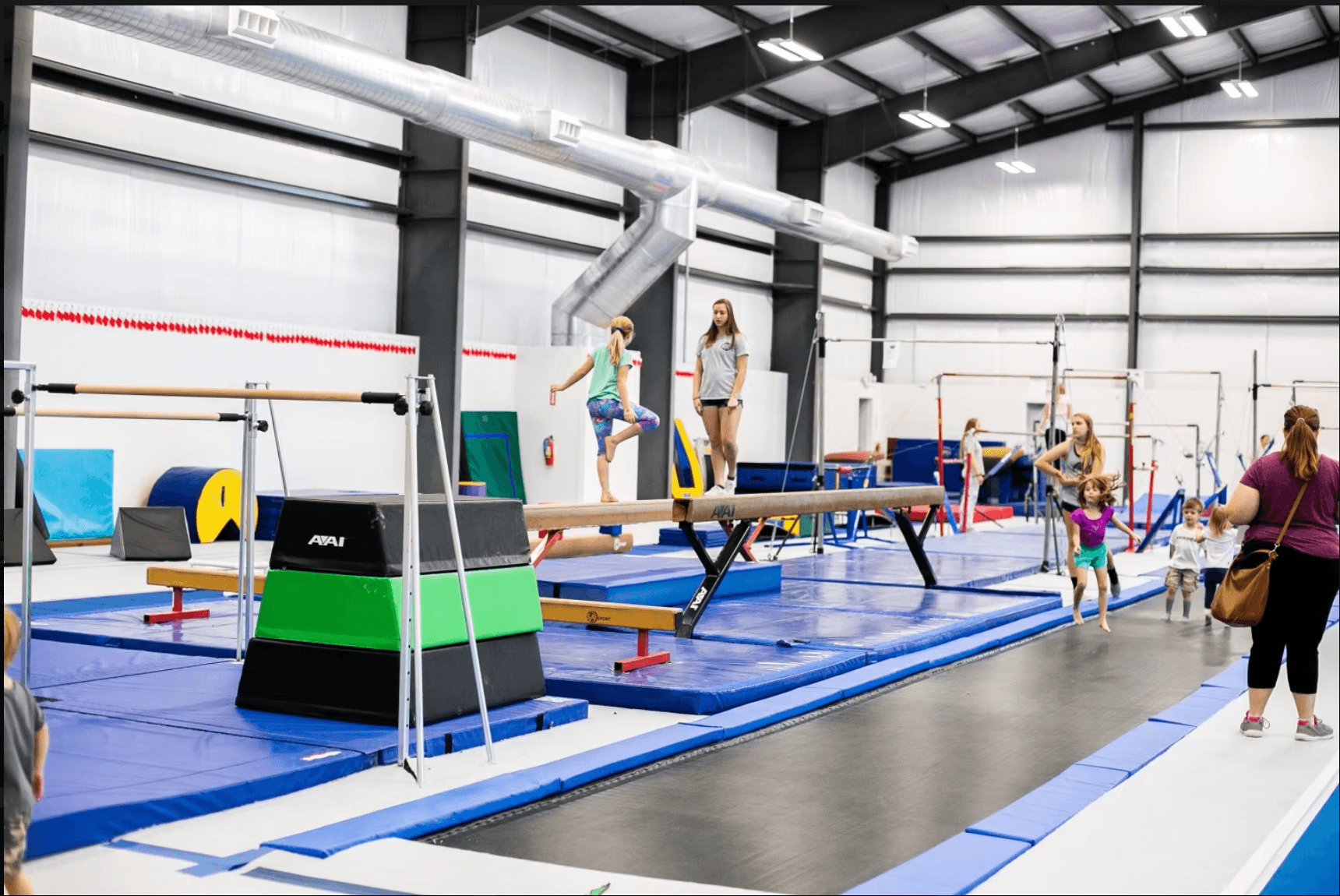 Moxie Gymnastics and Cheer